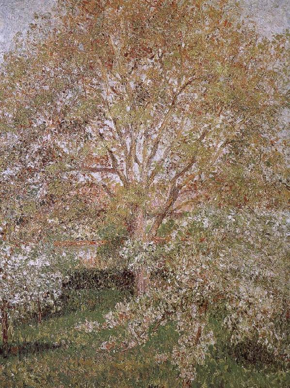 Camille Pissarro Walnut and apple trees oil painting image